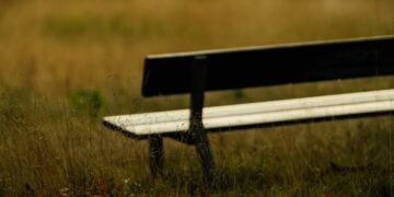 Tebet Eco Park: Taman Kota yang Asik di Jaksel, tapi Tukang Parkirnya Bikin Kesel