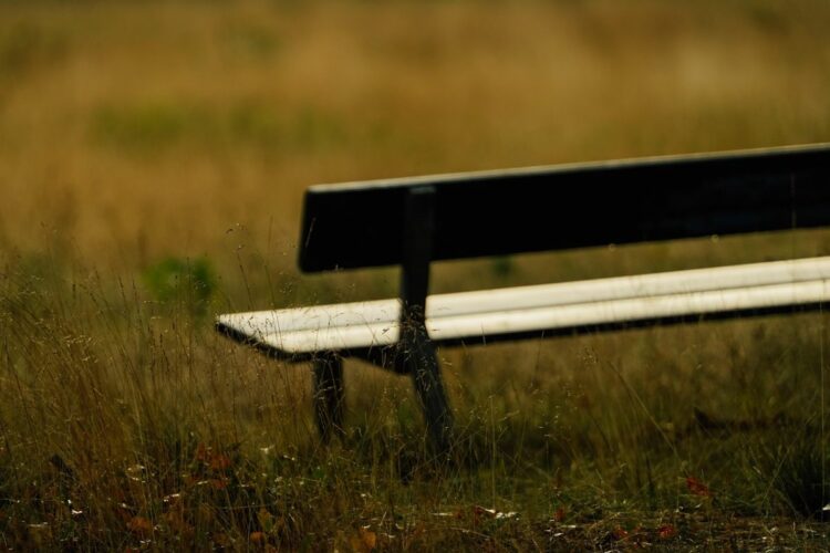 Tebet Eco Park: Taman Kota yang Asik di Jaksel, tapi Tukang Parkirnya Bikin Kesel