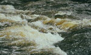 4 Alasan Kamu Wajib Coba River Tubing di Kebumen yang Sungainya Masih Bersih 