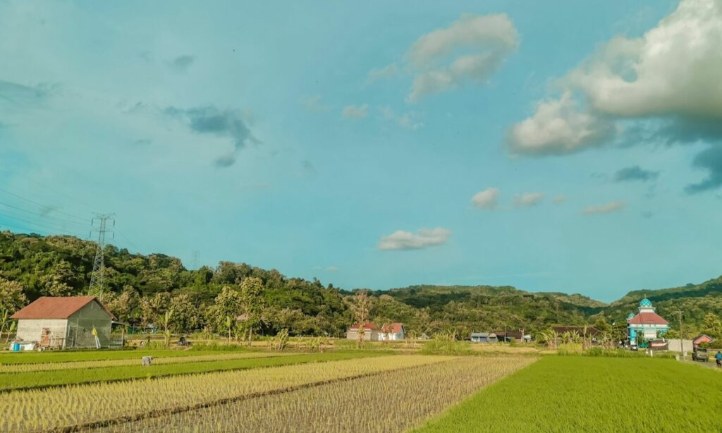4 Hal yang Bikin Orang Kota seperti Saya Kagok Hidup di Desa Mojok.co