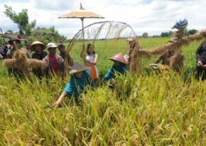 Delanggu Klaten, Kecamatan Subur dan Potensial yang Seperti Tersisihkan dari Perlintasan Jogja dan Solo