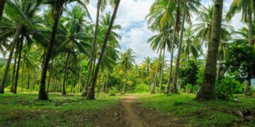 Trenggalek Rasa Menteng: Derita Sobat UMR Surabaya Mencari Tanah di Durenan Trenggalek