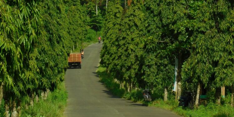 Sebagai Orang Surabaya, Saya Pikir Jalanan Medan Sudah Paling Barbar, Ternyata Jalan Jamin Ginting Jalur Karo Lebih Tidak Beradab