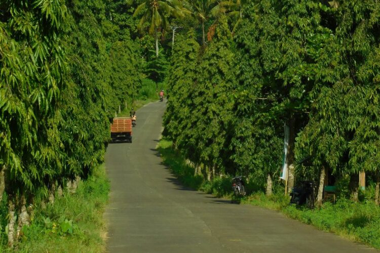 Sebagai Orang Surabaya, Saya Pikir Jalanan Medan Sudah Paling Barbar, Ternyata Jalan Jamin Ginting Jalur Karo Lebih Tidak Beradab