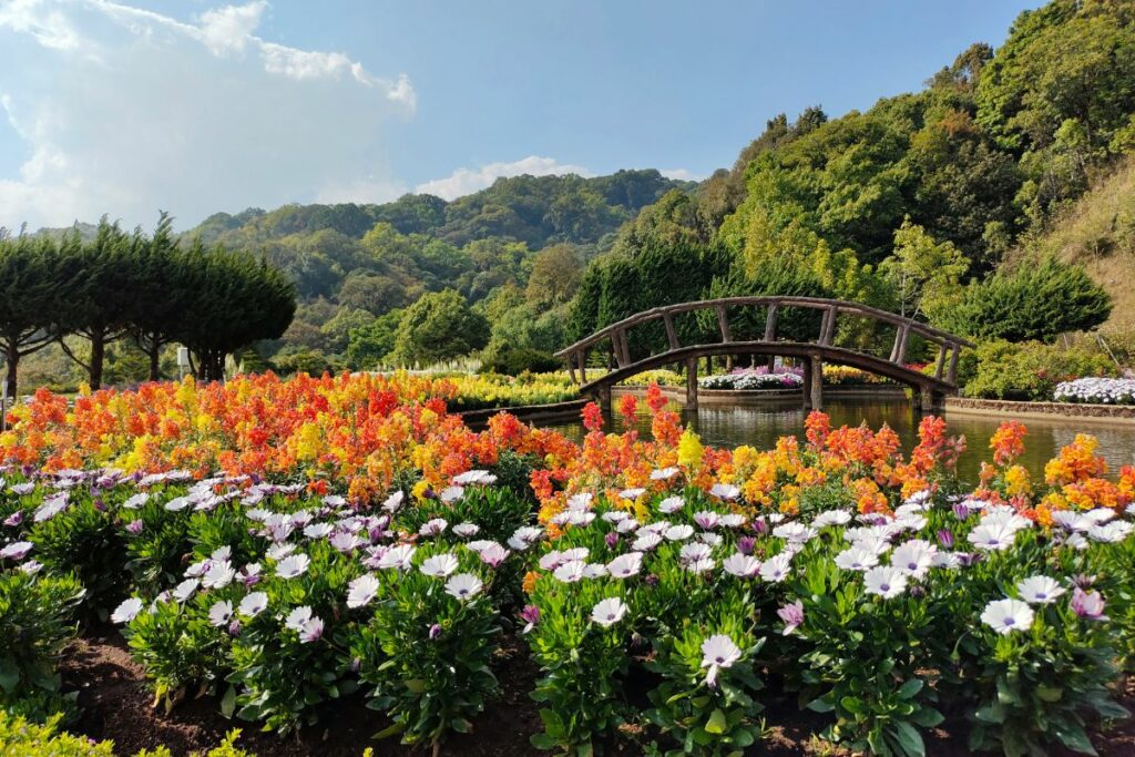 Cepogo Cheese Park di Boyolali Memang Istimewa, tapi Saya Ogah Kembali ke Sana