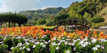 Cepogo Cheese Park di Boyolali Memang Istimewa, tapi Saya Ogah Kembali ke Sana