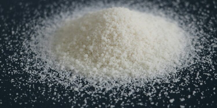 Kasta Micin dari yang Gurih Umami sampai yang Kurang Nendang di Lidah