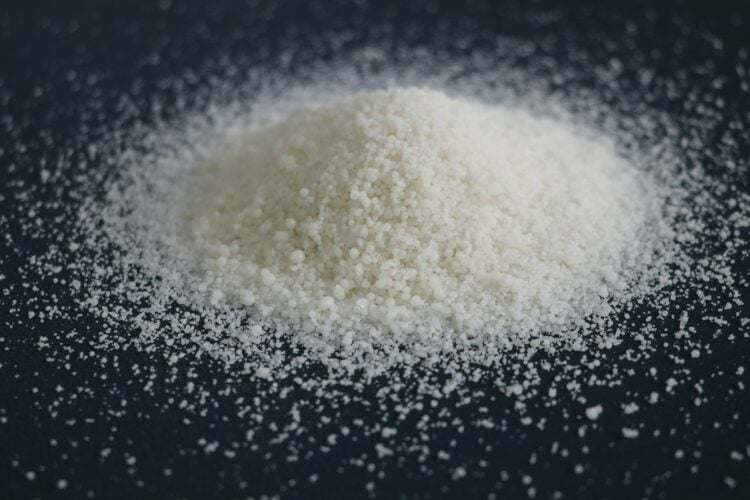 Kasta Micin dari yang Gurih Umami sampai yang Kurang Nendang di Lidah