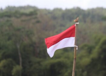 Suharto Memang Pantas kok Jadi Pahlawan, tapi...