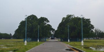 Perbedaan Alun-alun Kidul vs Alun-alun Lor Solo: Sama-Sama Lapang, Beda Nasib