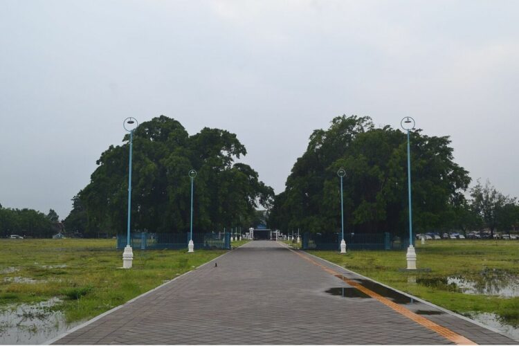 Perbedaan Alun-alun Kidul vs Alun-alun Lor Solo: Sama-Sama Lapang, Beda Nasib