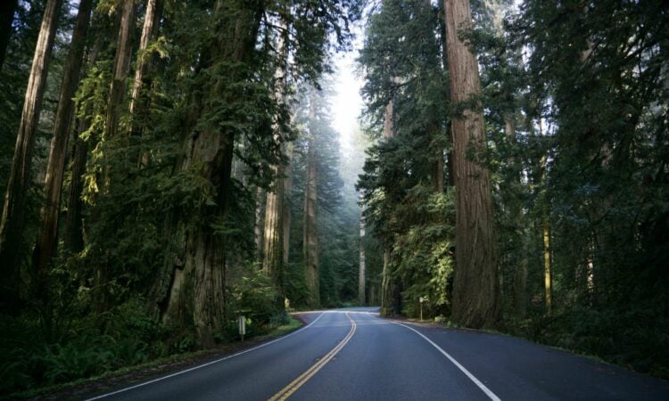 Selo, Jalur Favorit Saya untuk Pulang ke Magelang dari Solo Mojok.co