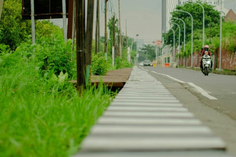Rindangnya Pepohonan Kawasan SIER Surabaya Memang Memanjakan Mata, tapi Bikin Hidung Tersiksa