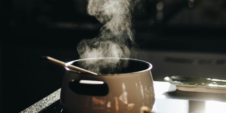 Pindang Tetel: Makanan Khas Pekalongan yang Nggak Masuk Akal tapi Wajib Dijajal