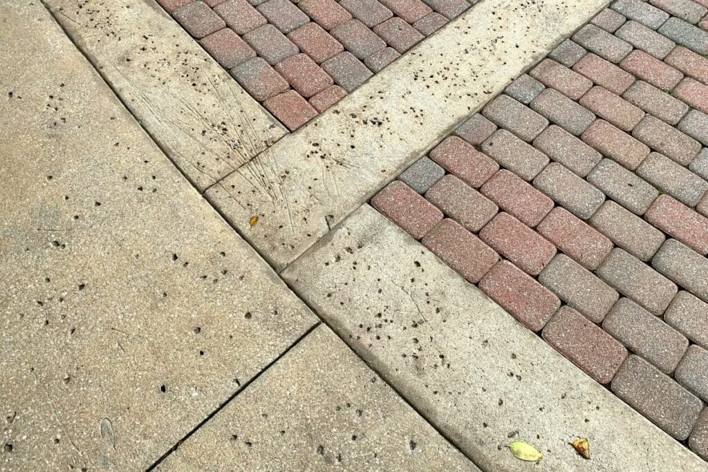 Trotoar Sepanjang Jalan Cikini Raya Harusnya Jadi Standar Seluruh Trotoar di Jakarta agar Berpihak kepada Pejalan Kaki