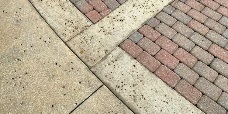 Trotoar Sepanjang Jalan Cikini Raya Harusnya Jadi Standar Seluruh Trotoar di Jakarta agar Berpihak kepada Pejalan Kaki