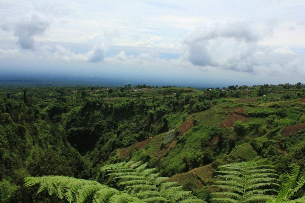Ngemplak, Kecamatan yang Terlalu Solo untuk Boyolali