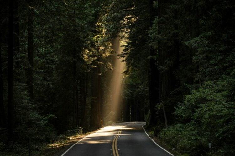 Jalur Wlingi-Karangkates, Penghubung Blitar dan Malang yang Indah tapi Mengancam Nyawa Pengguna Jalan