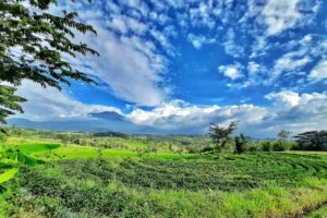 Mojokerto, Opsi Kota Slow Living yang Namanya Belum Sekencang Malang, tapi Ternyata Banyak Titik Nyamannya