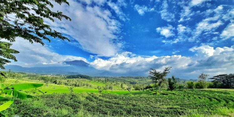 Mojokerto, Opsi Kota Slow Living yang Namanya Belum Sekencang Malang, tapi Ternyata Banyak Titik Nyamannya