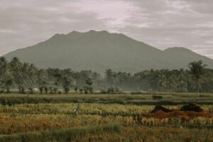 Banyuwangi: Ditinggal Ngangeni, Ditunggui Bikin Sakit Hati