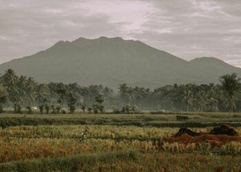 Banyuwangi: Ditinggal Ngangeni, Ditunggui Bikin Sakit Hati