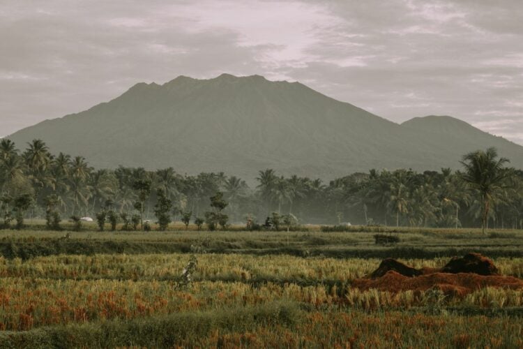 Banyuwangi: Ditinggal Ngangeni, Ditunggui Bikin Sakit Hati