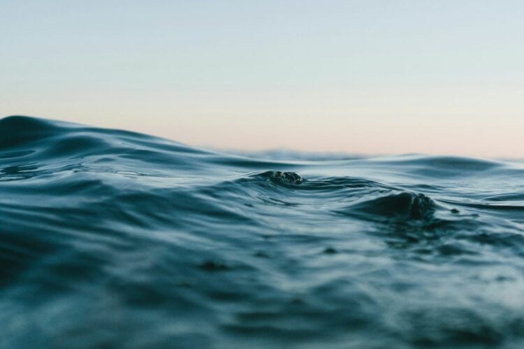 Penjelasan Ending Film The Great Flood buat Kamu yang Masih Mikir Keras Ini Sebenarnya Film Apa