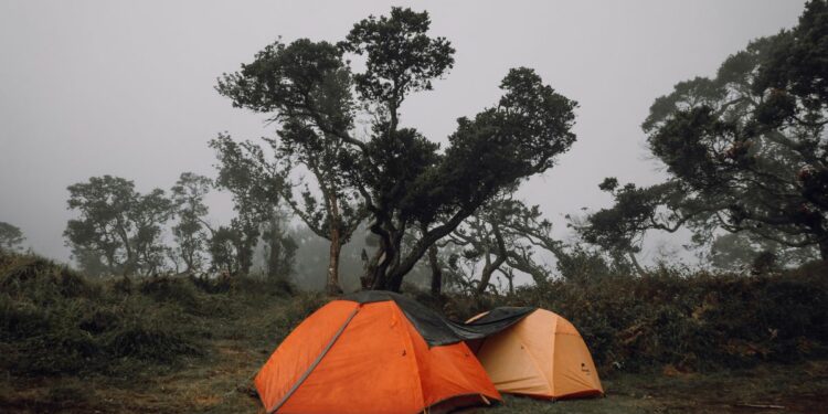 Putuk Lesung Pasuruan Cocok Dikunjungi Orang-orang yang Lelah Liburan ke Malang