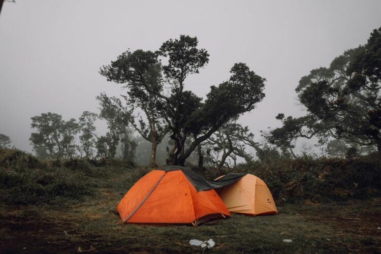 Putuk Lesung Pasuruan Cocok Dikunjungi Orang-orang yang Lelah Liburan ke Malang