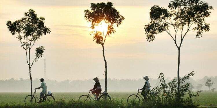 Saya Bangga Setengah Mati Lahir dan Besar di Kebumen (Unsplash)