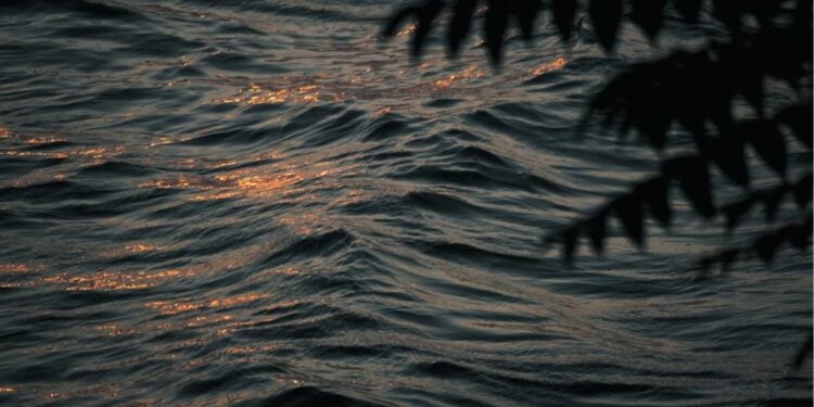 Telaga Madiredo, Telaga Underrated di Kabupaten Malang yang Meskipun Nggak Sebesar Sarangan, tapi Tetap Indah dan Pedagangnya Nggak Resek