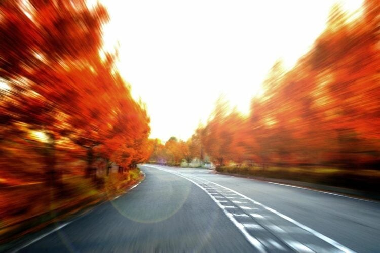 Pengalaman Naik Bus Eka dari Banjarnegara ke Surabaya: Melihat Langsung Orang Berzikir Saat Pedal Gas Diinjak Lebih Dalam