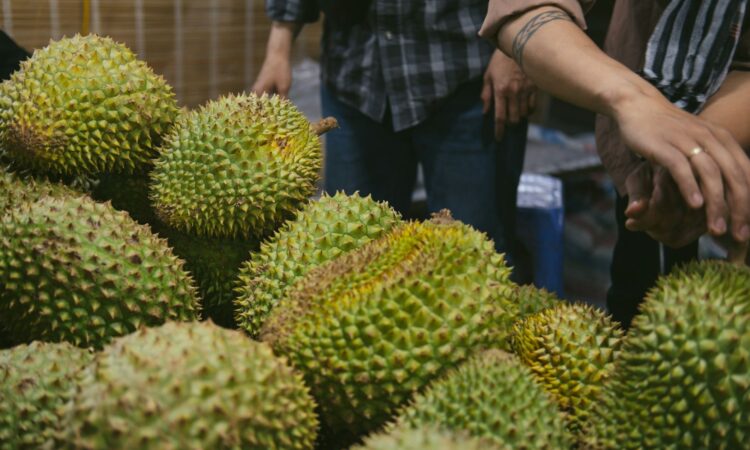 Pengalaman Tertipu Beli Durian di Wonosalam, Pusatnya “Raja Buah” di Jombang Mojok.co