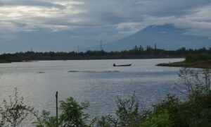 Dilema Pemuda Sragen: Bertahan Nggak Berkembang, Ditinggal Dikira Nggak Sayang Kampung Halaman 