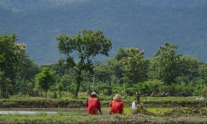 Solo dan Jogja Nggak Cocok untuk Frugal Living, Mending ke Delanggu Aja! 
