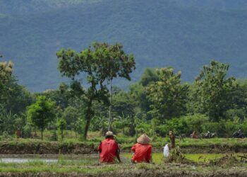 Solo dan Jogja Nggak Cocok untuk Frugal Living, Mending ke Delanggu Aja! Mojok.co