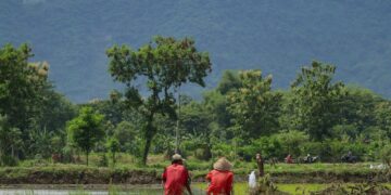 Solo dan Jogja Nggak Cocok untuk Frugal Living, Mending ke Delanggu Aja! Mojok.co