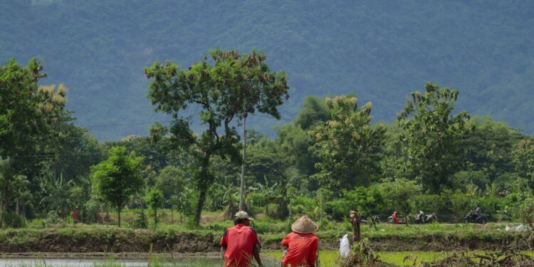 Solo dan Jogja Nggak Cocok untuk Frugal Living, Mending ke Delanggu Aja! Mojok.co