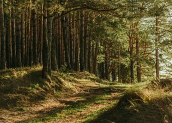 Prabanlintang, Tempat Wisata Pelepas Penat yang Masih Underrated di Kabupaten Tegal