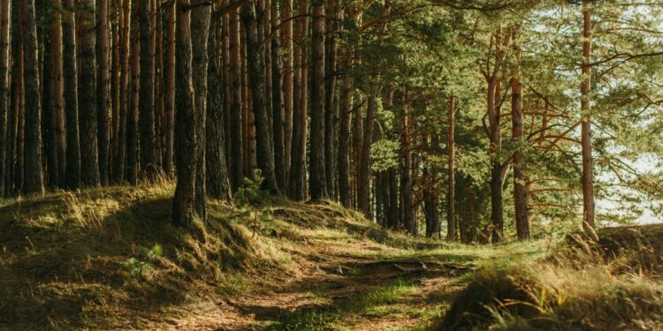 Prabanlintang, Tempat Wisata Pelepas Penat yang Masih Underrated di Kabupaten Tegal