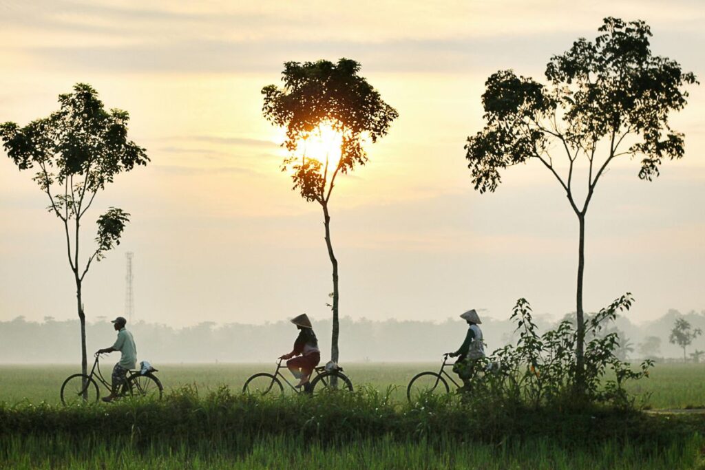 5 Hal yang Bikin Orang Kebumen Terlihat Santai, padahal Sebenarnya Sedang Bertahan Hidup