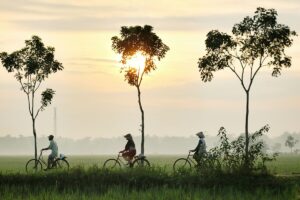 5 Hal yang Bikin Orang Kebumen Terlihat Santai, padahal Sebenarnya Sedang Bertahan Hidup