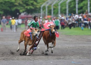 Meski Bangkalan Madura Mulai Berbenah, Pemandangan Jalan Rayanya Membuktikan kalau Warganya Dipenuhi Masalah