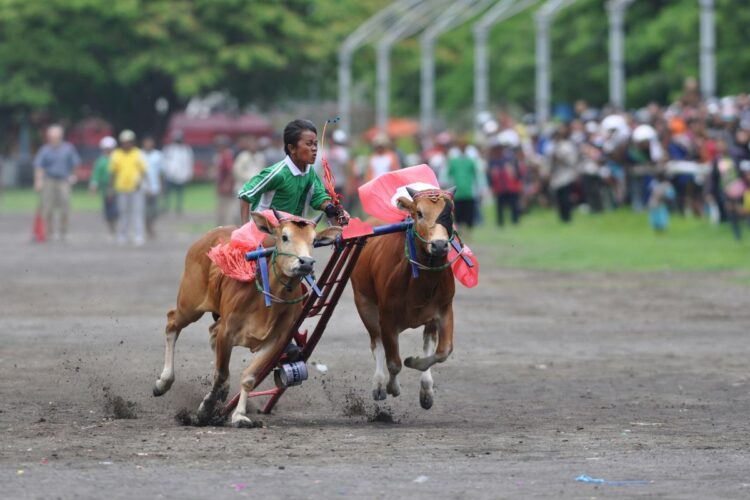 Meski Bangkalan Madura Mulai Berbenah, Pemandangan Jalan Rayanya Membuktikan kalau Warganya Dipenuhi Masalah