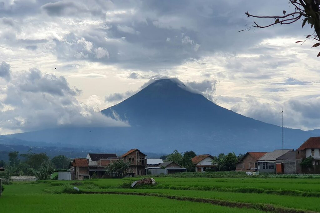 Hal yang Biasa Dijumpai di Temanggung, Daerah Lain Nggak Punya. Salah Satunya Pemandangan Jaran Kepang di Jalan