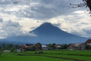 Hal yang Biasa Dijumpai di Temanggung, Daerah Lain Nggak Punya. Salah Satunya Pemandangan Jaran Kepang di Jalan