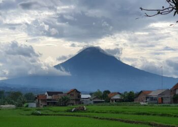 Hal yang Biasa Dijumpai di Temanggung, Daerah Lain Nggak Punya. Salah Satunya Pemandangan Jaran Kepang di Jalan