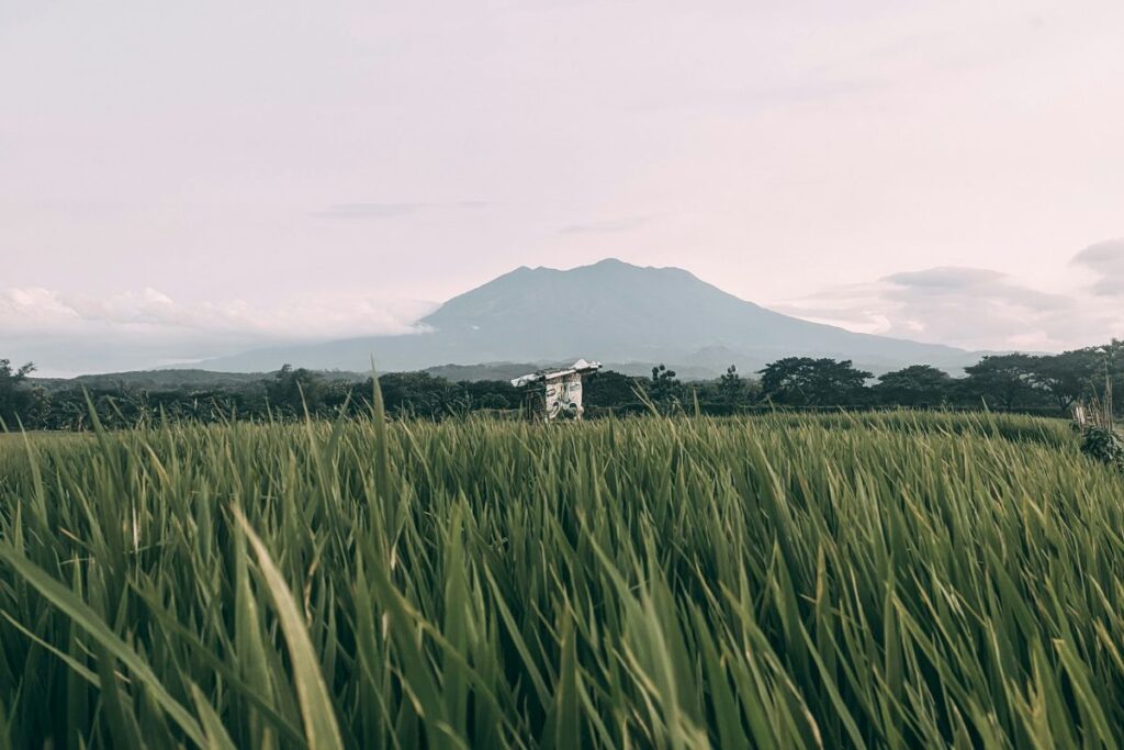 Sragen Daerah yang Cuma Dilewati, Tak Pernah Jadi Tujuan Orang karena Tidak Punya Apa-apa