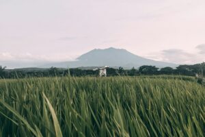 Sragen Daerah yang Cuma Dilewati, Tak Pernah Jadi Tujuan Orang karena Tidak Punya Apa-apa